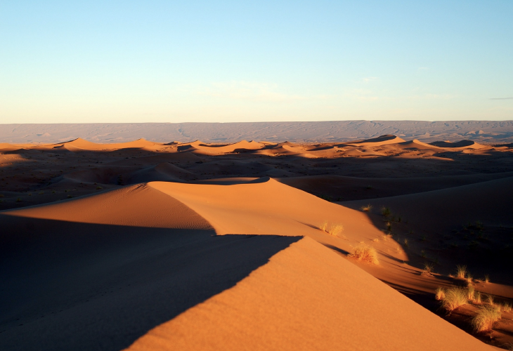 deserto_cover