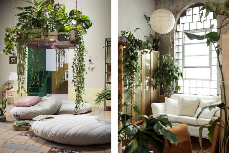 elementi_naturali_cover